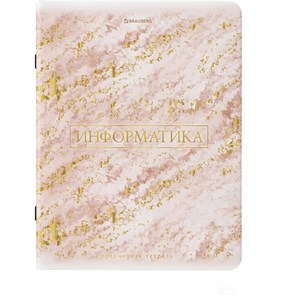 {{photo.Alt || photo.Description || 'Тетрадь предметная &quot;PASTEL&quot; 48 л., SoftTouch, фольга, ИНФОРМАТИКА, клетка, BRAUBERG, 404315'}}