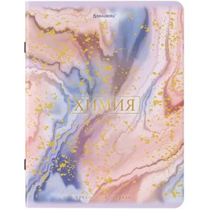 {{photo.Alt || photo.Description || 'Тетрадь предметная &quot;PASTEL&quot; 48 л., SoftTouch, фольга, ХИМИЯ, клетка, BRAUBERG, 404320'}}