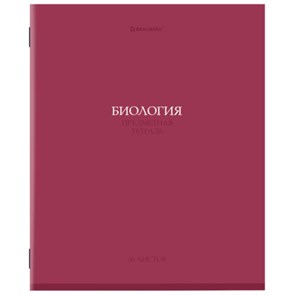 {{photo.Alt || photo.Description || 'Тетрадь предметная &quot;КОЛОР&quot; 36 л., обложка мелованная бумага, БИОЛОГИЯ, клетка, BRAUBERG, 405072'}}