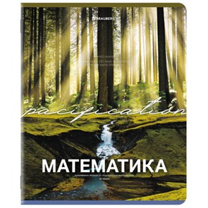 {{photo.Alt || photo.Description || 'Тетрадь предметная КЛАССИКА ПРИРОДА 48 л., обложка картон, МАТЕМАТИКА, клетка, подсказ, BRAUBERG, 405095'}}