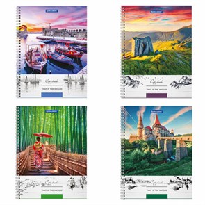 {{photo.Alt || photo.Description || 'Тетрадь А4, 80 л., BRAUBERG, гребень, клетка, обложка твердая, &quot;Nature&quot;, 404054'}}