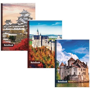 {{photo.Alt || photo.Description || 'Тетрадь А4, 96 л., BRAUBERG скоба, клетка, обложка картон, ЗАМКИ, 403070'}}