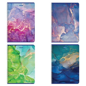 {{photo.Alt || photo.Description || 'Тетрадь А4, 96 л., BRAUBERG, гребень, клетка, матовая ламинация, &quot;Marble&quot;, 404063'}}