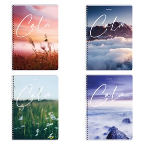 {{photo.Alt || photo.Description || 'Тетрадь А4, 96 л., BRAUBERG, гребень, клетка, обложка картон, &quot;Calm&quot;, 404059'}}