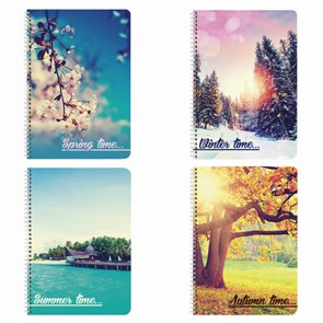 {{photo.Alt || photo.Description || 'Тетрадь А4, 96 л., BRAUBERG, гребень, клетка, обложка картон, 4 СЕЗОНА, 403071'}}