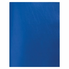 {{photo.Alt || photo.Description || 'Тетрадь бумвинил, А4, 80 л., скоба, офсет №2 ЭКОНОМ, клетка, STAFF, СИНИЙ, 402649'}}