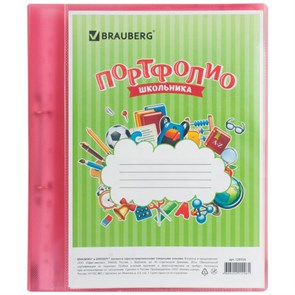 {{photo.Alt || photo.Description || 'Папка для портфолио школьника, 2 кольца, 20 файлов, пластик полупрозрачный, красная, BRAUBERG, 126558'}}