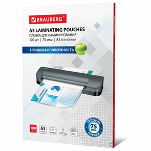 {{photo.Alt || photo.Description || 'Пленки-заготовки для ламинирования БОЛЬШОГО ФОРМАТА, А3, КОМПЛЕКТ 100 шт., 75 мкм, BRAUBERG, 530894'}}