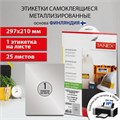 Этикетка самоклеящаяся 210х297 мм, 1 этикетка, полиэстер, серебро, 25 листов, TANEX, сырье Финляндия, 114544, TW-2000 114544