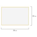 Этикетка ТермоТоп (58х40 мм), 700 этикеток в ролике, светостойкость до 12 месяцев. 126104