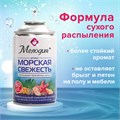 Сменный баллон 250 мл МЕЛОДИЯ "Морская свежесть", для автоматических освежителелей, универсальный, 605226 605226
