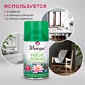 Сменный баллон 250 мл МЕЛОДИЯ "После дождя", для автоматических освежителей, универсальный, 605227 605227