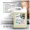 Средство для чистки плит, духовок, грилей от жира/нагара 5,6 кг GRASS AZELIT, 125372 607940