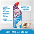 Средство для уборки туалета дезинфицирующее 750 мл CILLIT BANG "Антиналет+Блеск", Свежесть океана, 07813, 8149771 606403