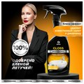 Средство для чистки сантехники кислотное 600 мл, GRASS GLOSS PROFESSIONAL, триггер, 125533 609911