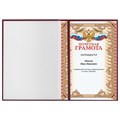 Папка адресная бумвинил "НА ПОДПИСЬ" с гербом России, А4, бордовая, индивидуальная упаковка, STAFF "Basic", 129626 129626