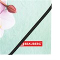 Папка на резинках BRAUBERG "FLOWER", А4, цветная печать, до 300 листов, 500 мкм, 228032 228032