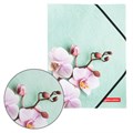 Папка на резинках BRAUBERG "FLOWER", А4, цветная печать, до 300 листов, 500 мкм, 228032 228032