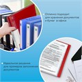 Папка 60 вкладышей BRAUBERG стандарт, красная, 0,8 мм, 228683 228683