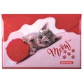 Папка-конверт с кнопкой BRAUBERG "FUNNY CAT", А4, 160 мкм, цветная печать, 228038 228038
