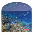 Папка-конверт с кнопкой BRAUBERG "SEA WORLD", А4, 160 мкм, до 100 листов, цветная печать, 228041 228041