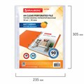 Папки-файлы перфорированные А4 BRAUBERG "EXTRA 900", КОМПЛЕКТ 50 шт., матовые, ПЛОТНЫЕ, 90 мкм, 229669 229669