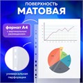 Папки-файлы перфорированные А4 BRAUBERG "PREMIUM", КОМПЛЕКТ 100 шт., матовые, 45 мкм, 221713 221713