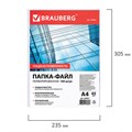 Папки-файлы перфорированные, А4, BRAUBERG "STANDARD", комплект 100 шт., гладкие, 45 мкм, 226831 226831
