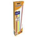 Карандаш чернографитный BIC, 1 шт., "Evolution Stripes", HB, корпус ассорти, 918487 180923