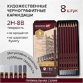 Карандаши чернографитные художественные 2H-8B, НАБОР 8 шт., В ПЕНАЛЕ, BRAUBERG ART "PREMIERE", 181894 181894