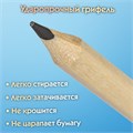 Карандаши чернографитные чертежные школьные разной твердости НАБОР 12 штук 2H-2B, ПИФАГОР, 181883 181883