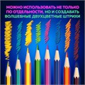 Карандаши с двухцветным грифелем BRAUBERG BICOLOUR, 12 штук, 24 цвета, шестигранные, грифель 3 мм, натуральное дерево, 181855 181855