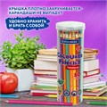 Карандаши цветные BRAUBERG PREMIUM 50 цветов в тубе, трехгранные, грифель 3,3 мм, натуральное дерево, 181935 181935
