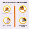 Карандаши цветные BRAUBERG PREMIUM, 12 цветов, трехгранные, грифель 3 мм, 181661 181661
