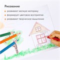 Карандаши цветные BRAUBERG PREMIUM, 12 цветов, трехгранные, грифель 3 мм, 181661 181661
