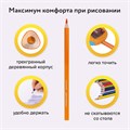 Карандаши цветные BRAUBERG PREMIUM, 18 цветов, трехгранные, грифель 3,3 мм, натуральное дерево, 181652 181652