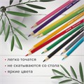 Карандаши цветные мягкие BRAUBERG АКАДЕМИЯ, 12 цветов, шестигранные, грифель 3 мм, натуральное дерево, 181864 181864