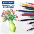 Карандаши цветные стираемые с ластиком BRAUBERG ERASABLE, 12 цветов, шестигранные, грифель 3 мм, натуральное дерево, 181932 181932