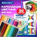 Карандаши цветные супермягкие яркие BRAUBERG MAX, 50 цветов, трехгранные, грифель 3,3 мм, натуральное дерево, 181860 181860