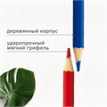 Карандаши цветные супермягкие яркие BRAUBERG MAX, 72 цвета, шестигранные, грифель 3,3 мм, натуральное дерево, 181861 181861
