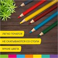 Карандаши цветные утолщенные BRAUBERG KIDS, 6 цветов, шестигранные, грифель 5 мм, натуральное дерево, 181877 181877