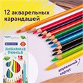 Карандаши цветные акварельные BRAUBERG PREMIUM AQUARELLE, 12 цветов, трехгранные, утолщенный грифель 4 мм, натуральное дерево, 181671 181671
