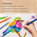 Карандаши цветные акварельные BRAUBERG PREMIUM AQUARELLE, 24 цвета, трехгранные, утолщенный грифель 4 мм, натуральное дерево, 181673 181673