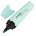 Текстовыделитель BRAUBERG "DELTA PASTEL", БИРЮЗОВЫЙ, линия 1-5 мм, 151732 151732