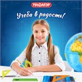 Набор чертежный малый ПИФАГОР (линейка 16 см, 2 треугольника, транспортир), непрозрачный, неоновый, пакет, 210624 210624