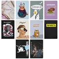 Обложка для паспорта "Cool Mix", два кармана, 10 дизайнов ассорти, цветной принт, ПВХ, STAFF, 238340 238340