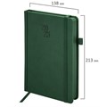Ежедневник датированный 2025, А5, 138х213 мм, BRAUBERG "Plain", под кожу, резинка, держатель для ручки, темно-зеленый, 115917 115917