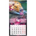 Календарь настенный перекидной на 2025 г., BRAUBERG, 12 листов, 22,5х22,5 см, МИНИ, "Дикие животные", 116179 116179