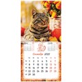 Календарь настенный перекидной на 2025 г., BRAUBERG, 12 листов, 29х29 см, "Милые котики", 116164 116164