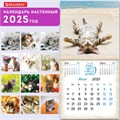 Календарь настенный перекидной на 2025 г., BRAUBERG, 12 листов, 29х29 см, "Милые котики", 116164 116164
